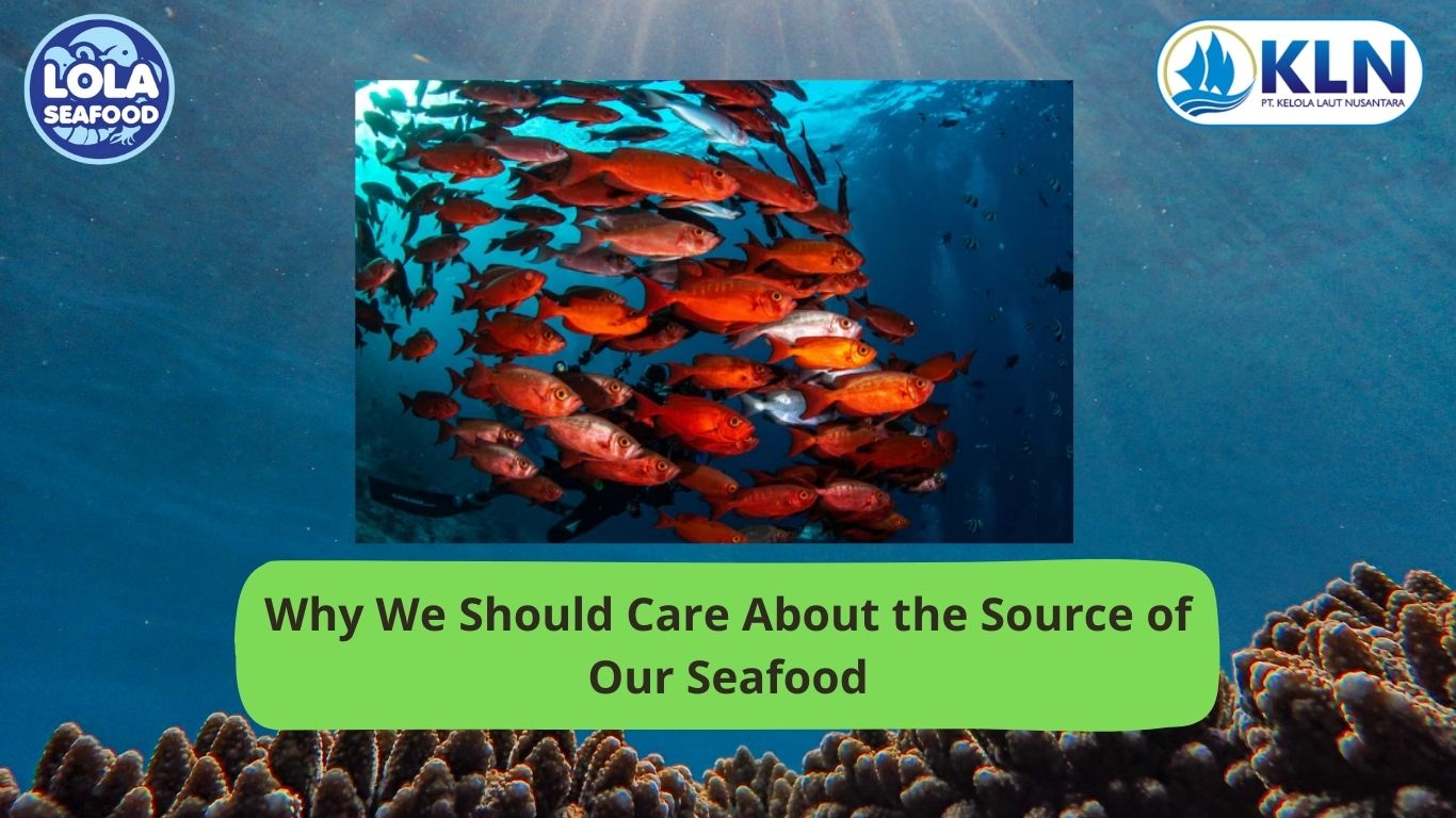 Why We Should Care About the Source of Our Seafood